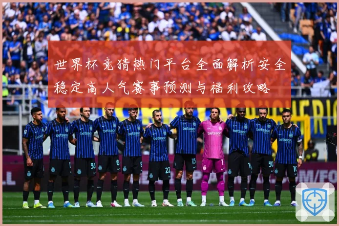世界杯竞猜热门平台全面解析安全稳定高人气赛事预测与福利攻略