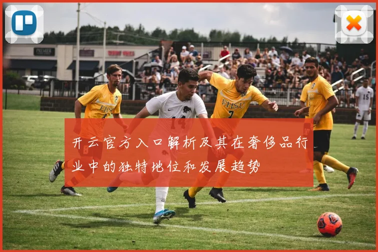 开云官方入口解析及其在奢侈品行业中的独特地位和发展趋势