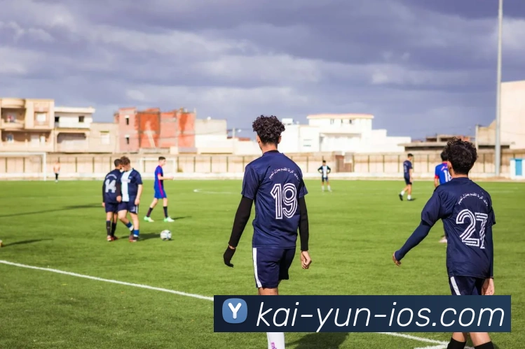 开云平台展示图