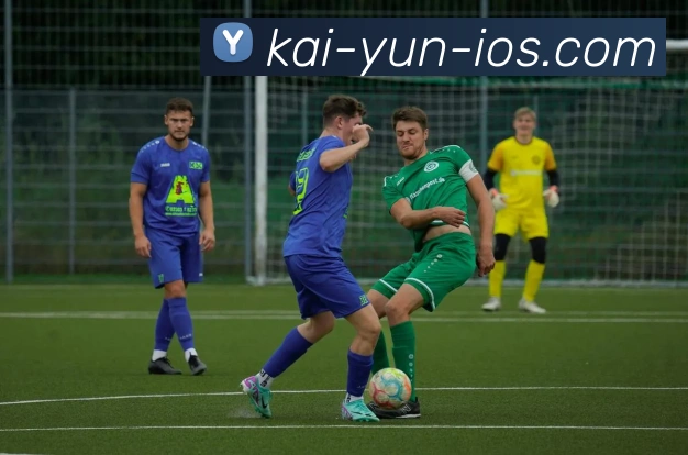 开云官网全站App